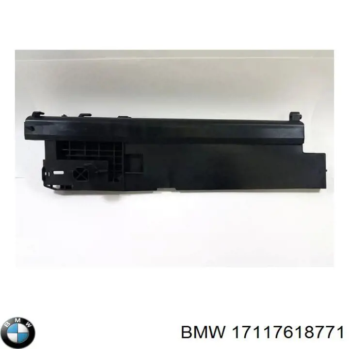 17117618771 BMW Consola do radiador esquerdo