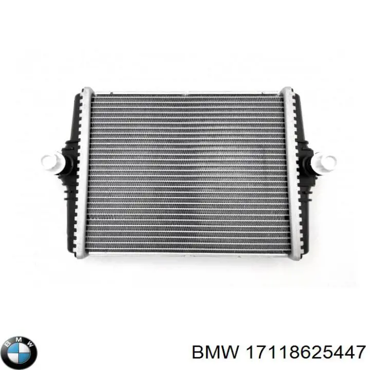 17118625447 BMW Radiador esquerdo de esfriamento de motor