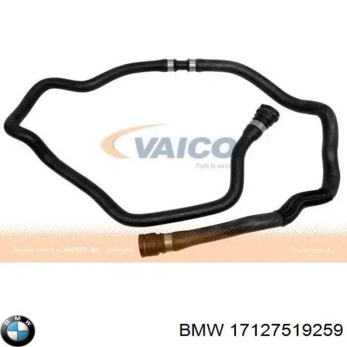 Compre 17127519259 BMW Mangueira inferior do tanque de expansão