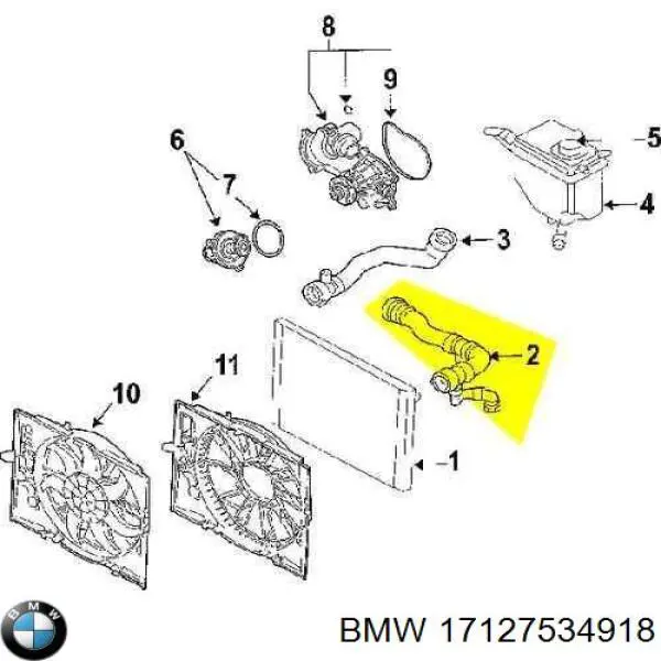 17127534918 BMW Mangueira (cano derivado) do radiador de esfriamento superior