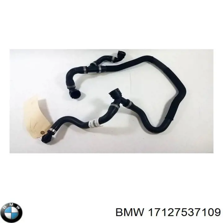 17127537109 BMW Mangueira (cano derivado) do radiador de esfriamento superior