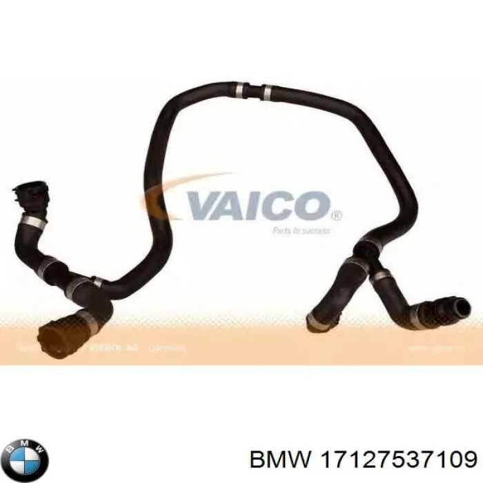 Mangueira (cano derivado) do radiador de esfriamento superior BMW 17127537109 preço, a partir de 60,50 USD