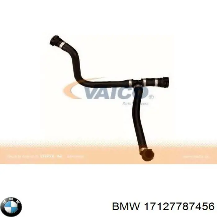 17127787456 BMW 