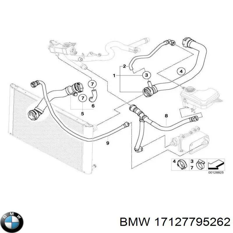Compre 17127795262 BMW Mangueira (cano derivado) inferior do radiador de esfriamento