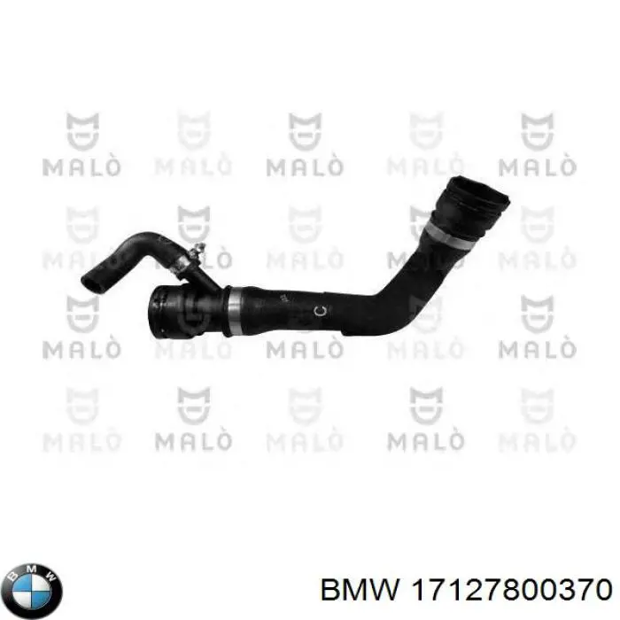 17127800370 BMW Mangueira (cano derivado) inferior do radiador de esfriamento