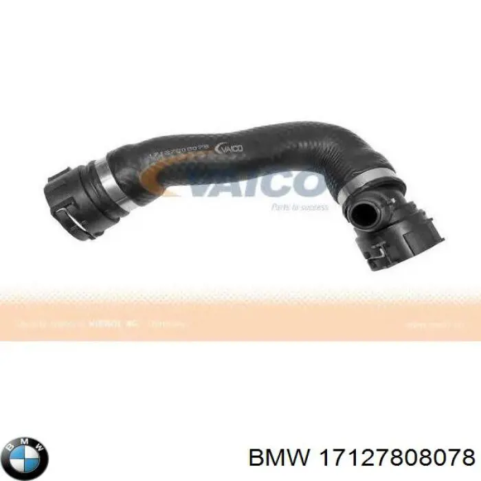17127808078 BMW Mangueira (cano derivado) inferior do radiador de esfriamento