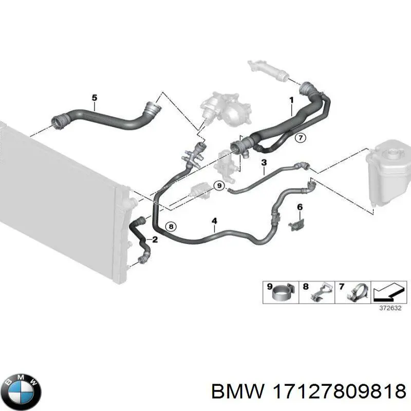 Compre 17127809818 BMW Mangueira (cano derivado) do radiador de esfriamento superior