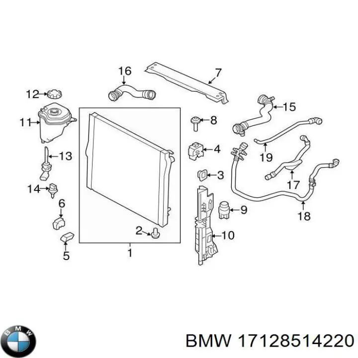 17128514220 BMW Mangueira inferior do tanque de expansão