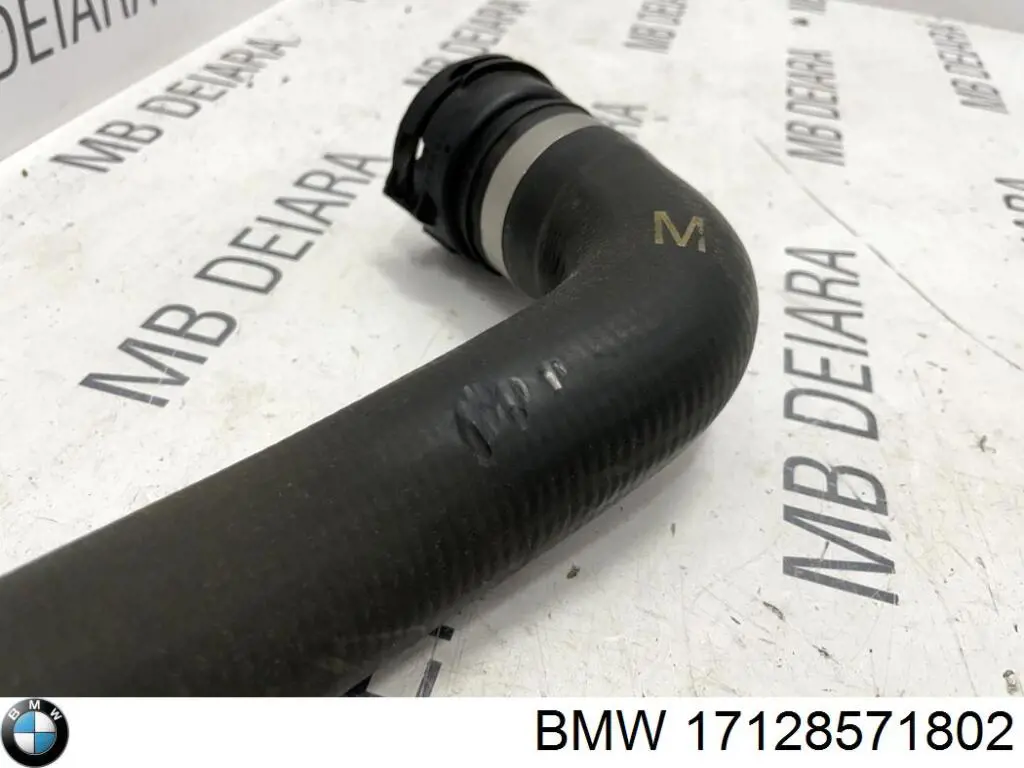 17128589900 BMW Mangueira (cano derivado) inferior do radiador de esfriamento