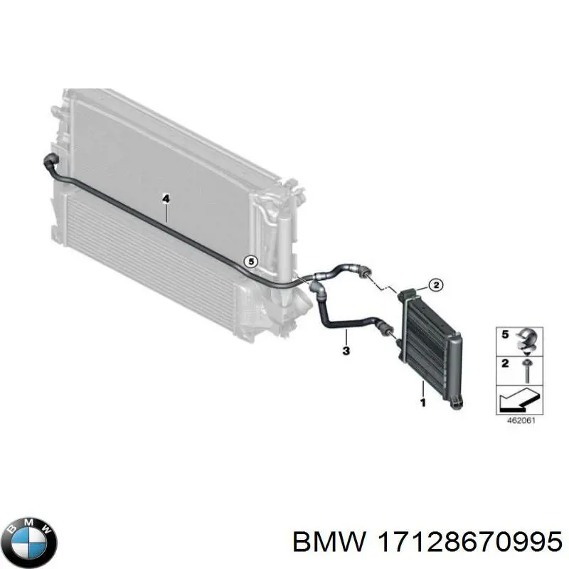 Compre 17128670995 BMW Mangueira (cano derivado) inferior do radiador de esfriamento