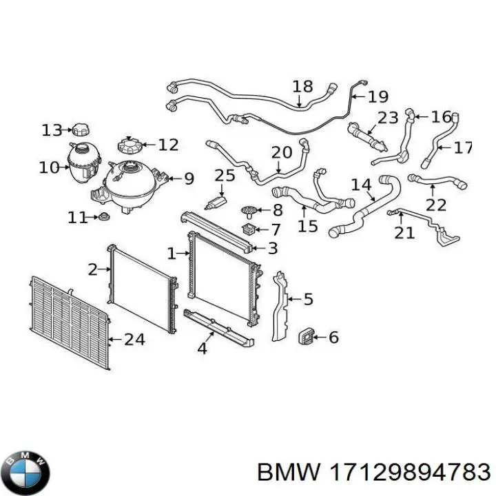 Mangueira (cano derivado) inferior do radiador de esfriamento BMW 17129894783 preço, a partir de 85,89 USD