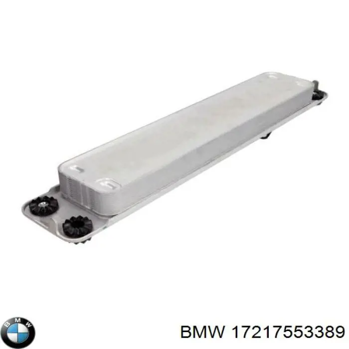 Compre 17217553389 BMW Radiador de esfriamento, Caixa Automática de Mudança