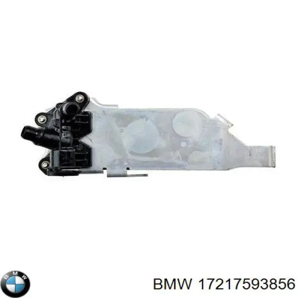 17217593856 BMW Radiador de esfriamento, Caixa Automática de Mudança