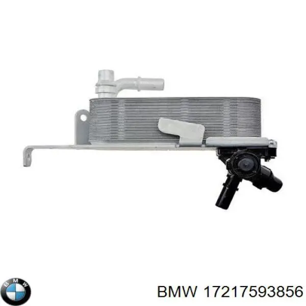 Radiador de esfriamento, Caixa Automática de Mudança BMW 17217593856 preço, a partir de 52,80 USD