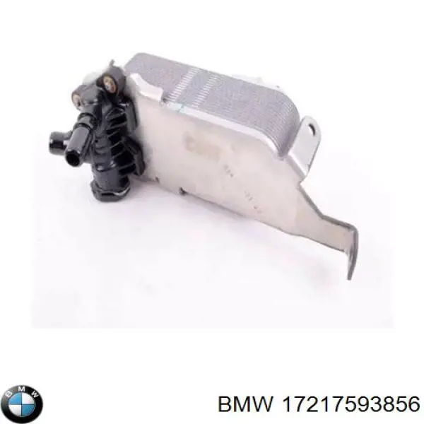 Compre 17217593856 BMW Radiador de esfriamento, Caixa Automática de Mudança