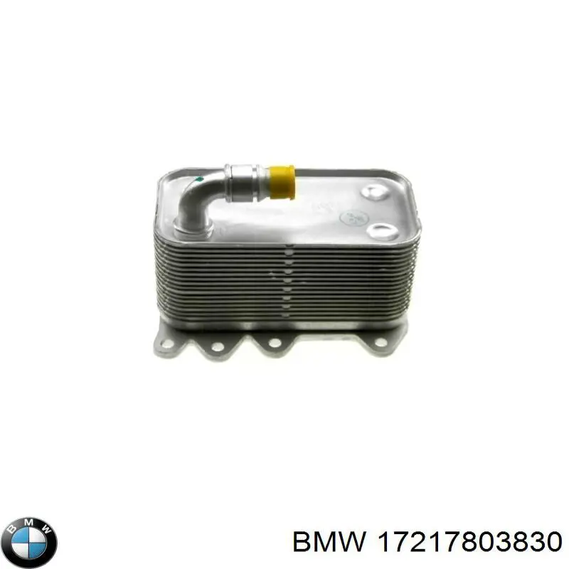 Compre 17217803830 BMW Radiador de esfriamento, Caixa Automática de Mudança