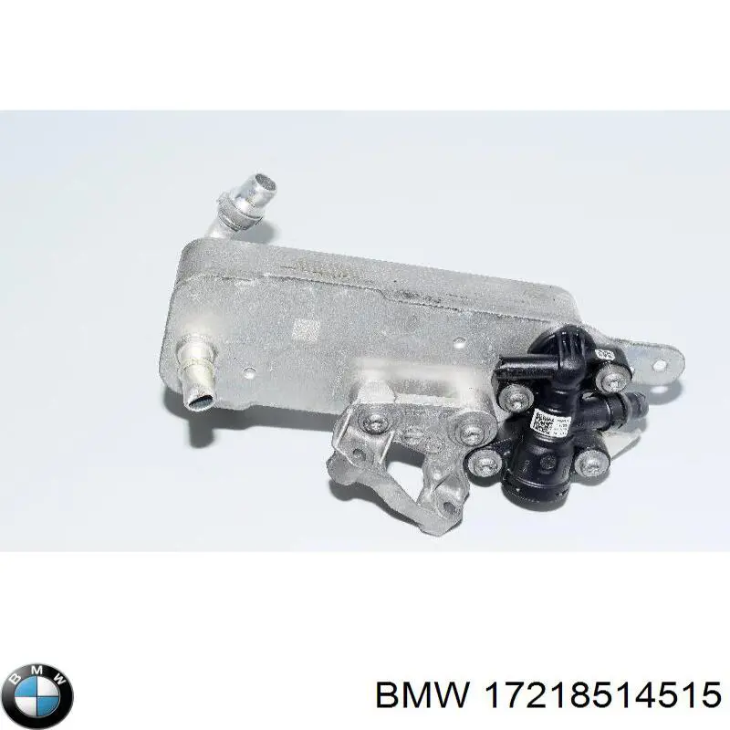 17218514515 BMW Radiador de esfriamento, Caixa Automática de Mudança