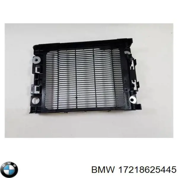 17218625445 BMW 