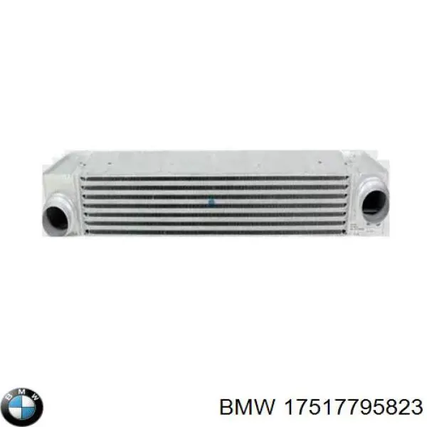 17517795823 BMW Radiador de intercooler