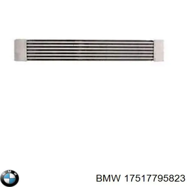 Compre 17517795823 BMW Radiador de intercooler