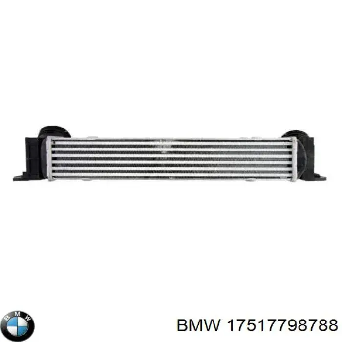 Compre 17517798788 BMW Radiador de intercooler
