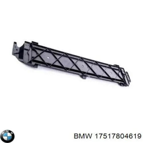 17517804619 BMW Suporte inferior do radiador (painel de montagem de fixação das luzes)