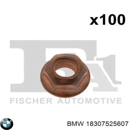 Compre 18307525607 BMW 