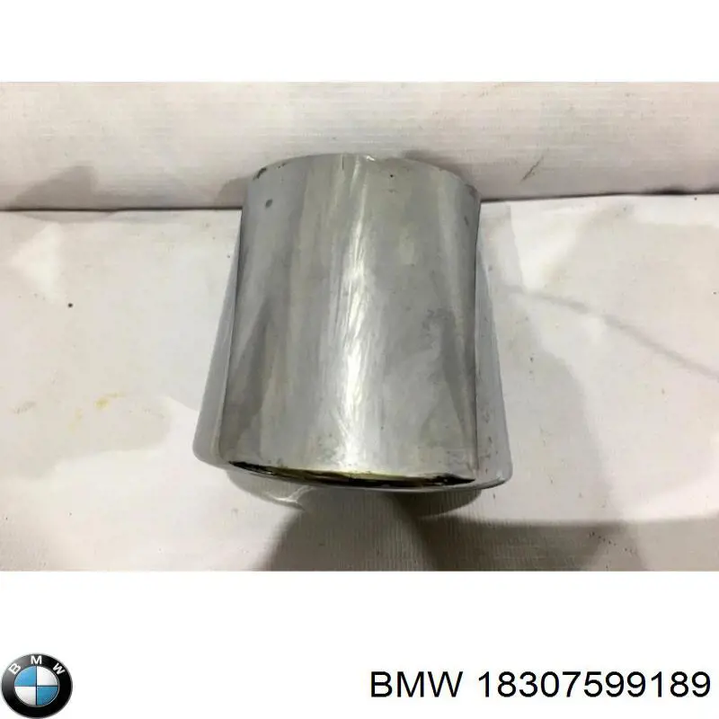 Compre 18307599189 BMW Bocal para o silenciador