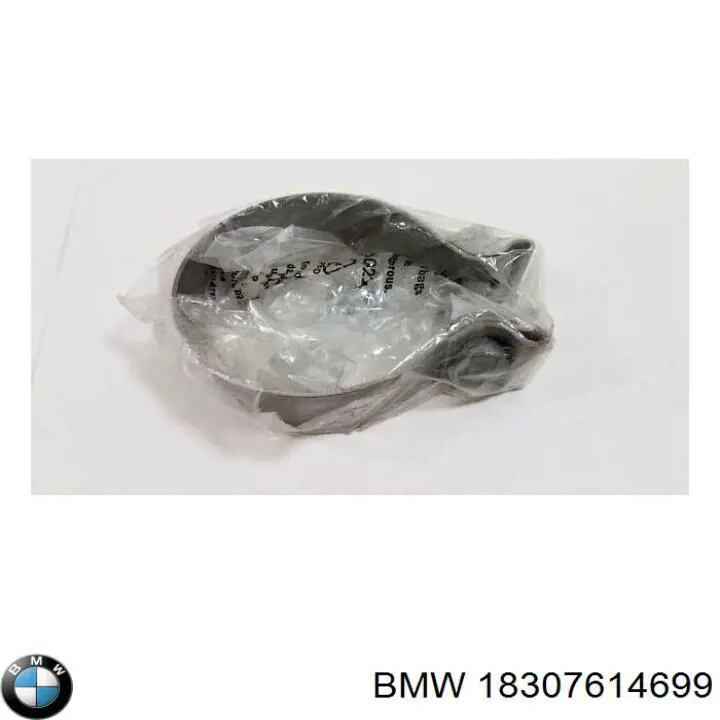 18307614699 BMW Braçadeira do silenciador traseira