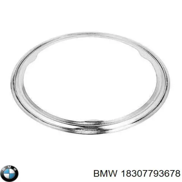 18307793678 BMW Anel de tubo de admissão do silenciador