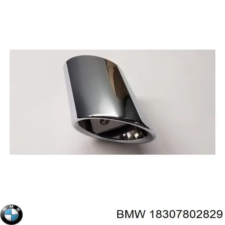 Compre 18307802829 BMW Braçadeira de silenciador dianteira