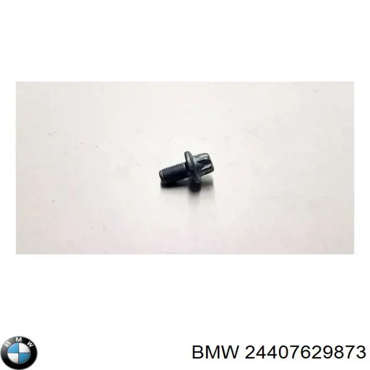 24407629873 BMW 