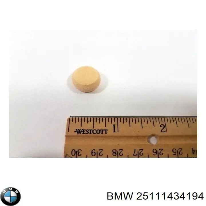 25111434194 BMW Bucha do mecanismo de mudança (de ligação)