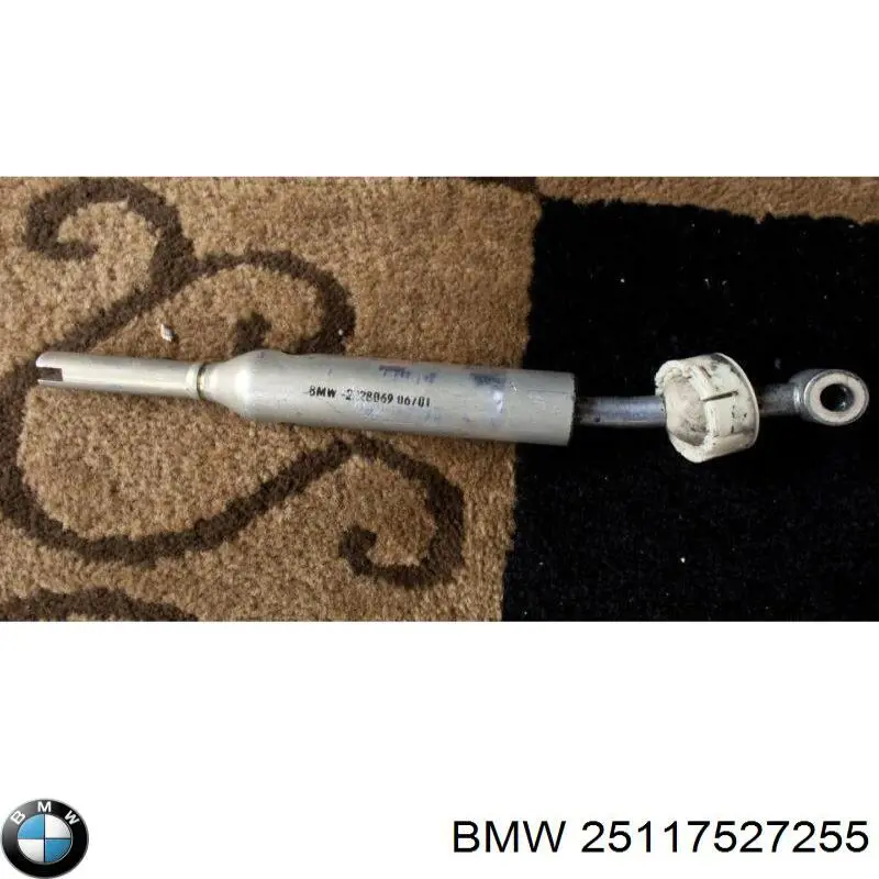 Compre 25117527255 BMW Avalanca de mudança