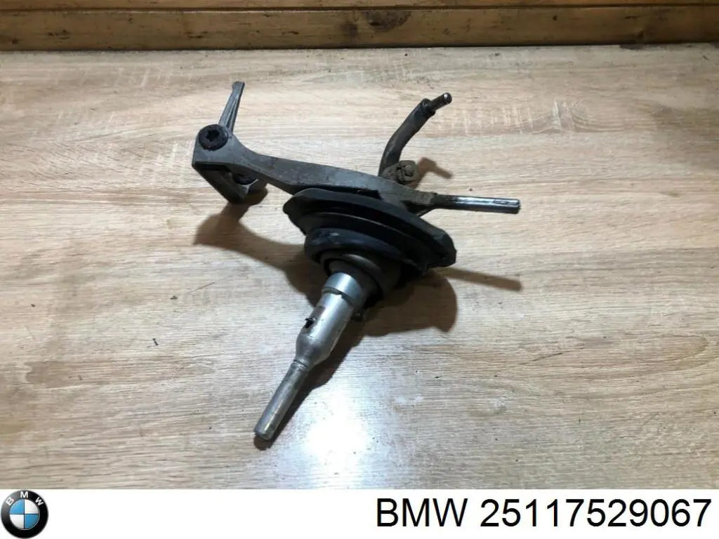 Compre 25117529067 BMW 