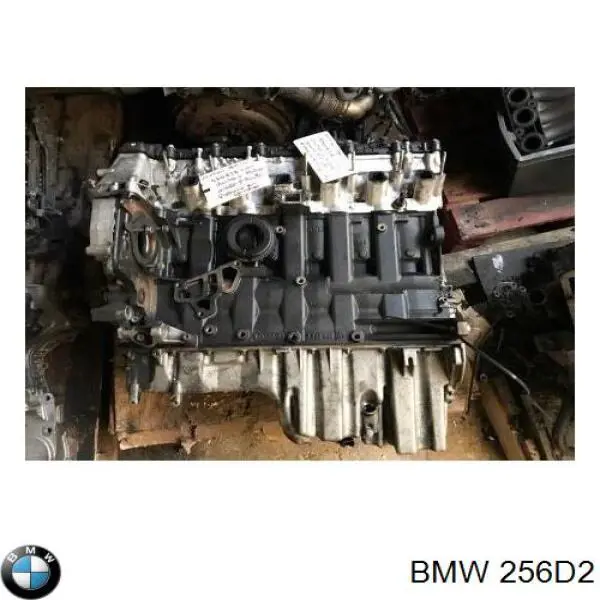 256D2 BMW Motor montado