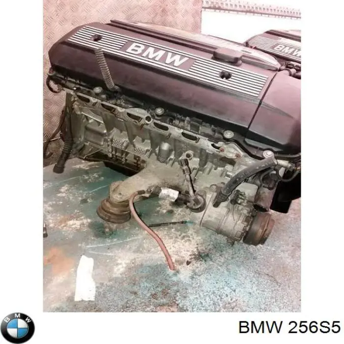 256S5 BMW Motor montado
