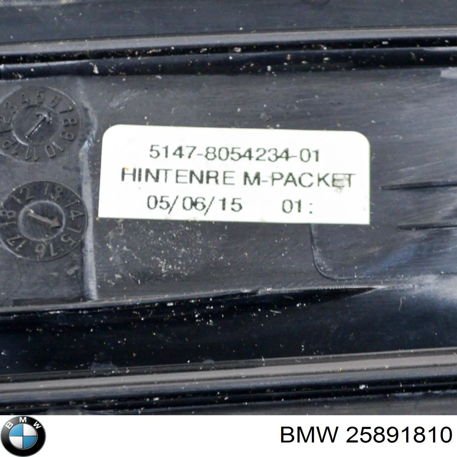 Compre 25891810 BMW 
