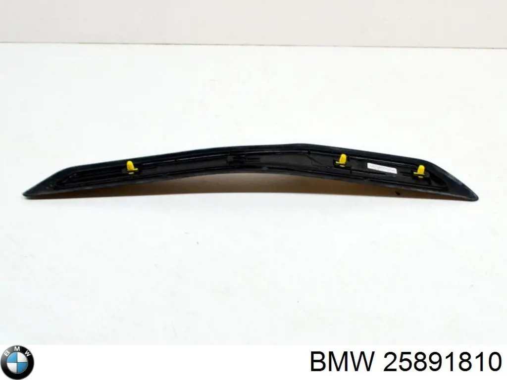 Compre 25891810 BMW 