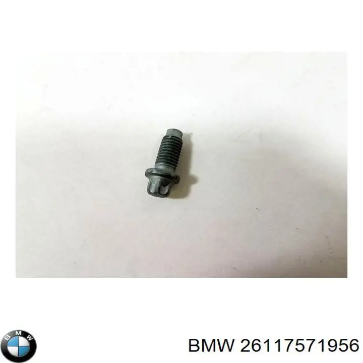 26117571956 BMW Parafuso de cubo
