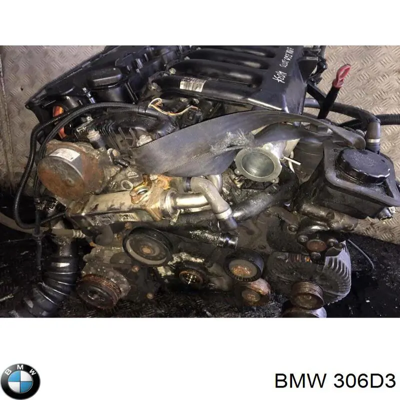 306D3 BMW Motor montado
