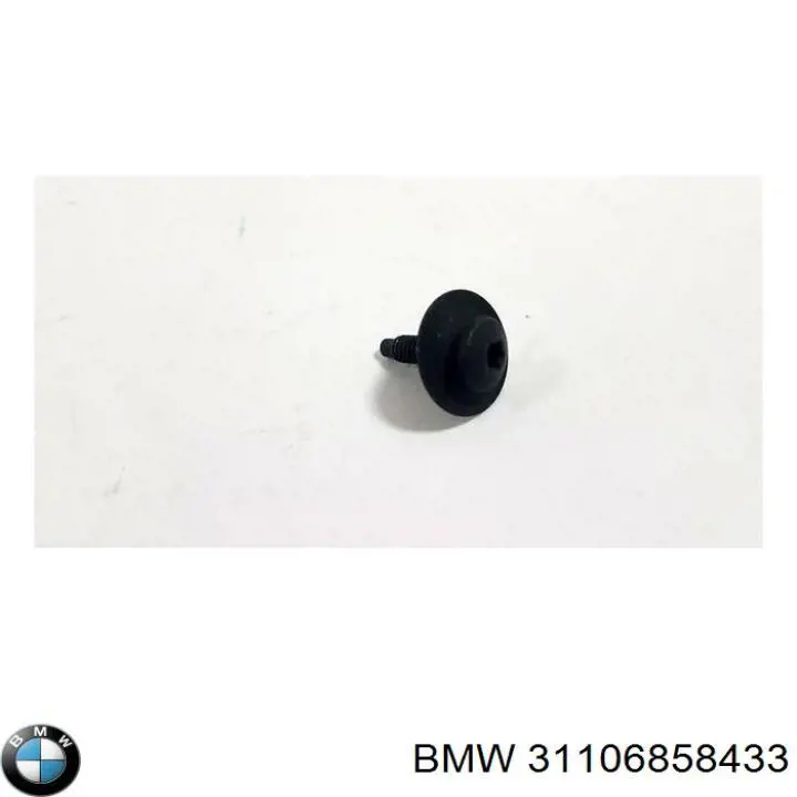 Compre 31106858433 BMW Parafuso de fixação de braço oscilante dianteiro, inferior