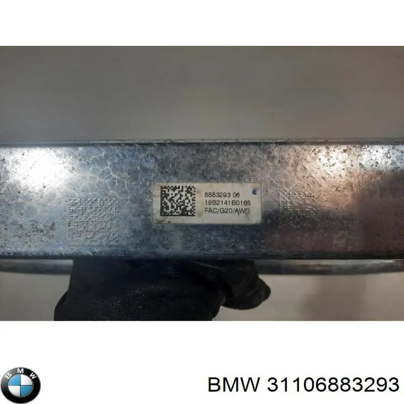 31106883293 BMW Viga de suspensão dianteira (plataforma veicular)