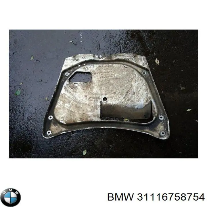 Proteção de motor, de panela (da seção de motor) BMW X5  E53