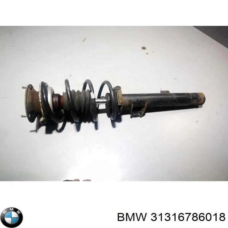 Compre 31316786018 BMW Amortecedor dianteiro direito
