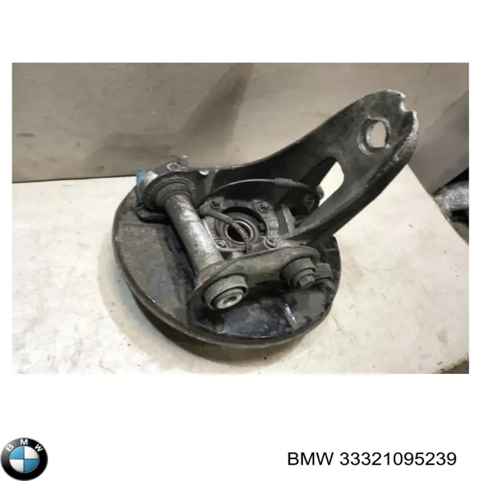 Pino moente (extremidade do eixo) traseiro esquerdo BMW 33321095239 preço, a partir de 125,99 USD