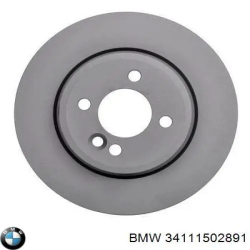 34111502891 BMW Disco do freio dianteiro