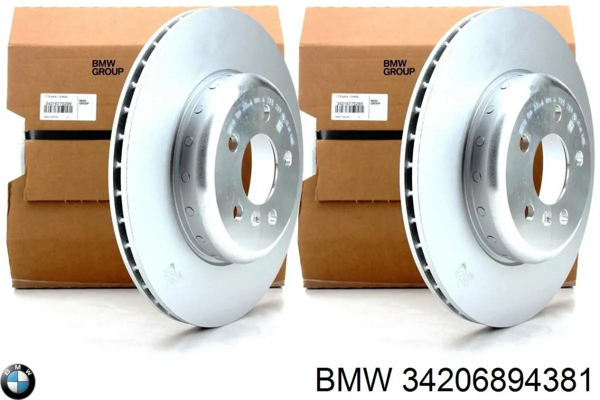 34206894381 BMW Disco do freio traseiro