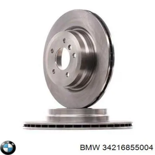 34216855004 BMW Disco do freio traseiro