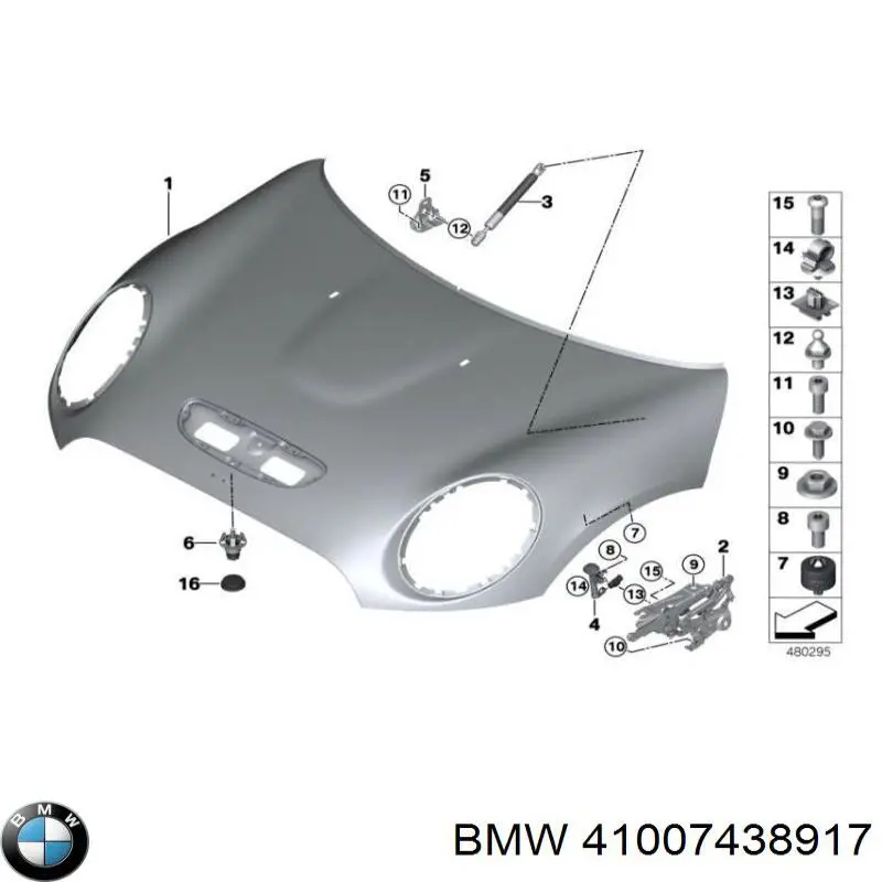 41009491517 BMW Capota